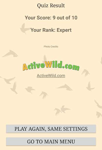 British Birds ID Quiz Pro screenshot 16