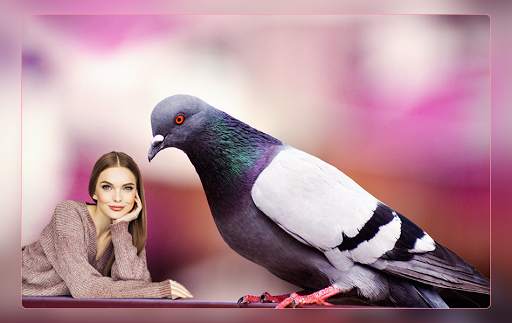 Wild Animal Photo Maker : Animals Photo Editor screenshot 4