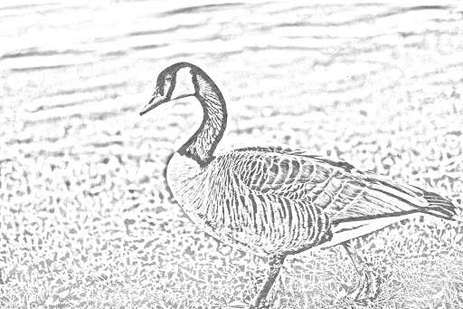 Pencil Sketch Camera screenshot 3