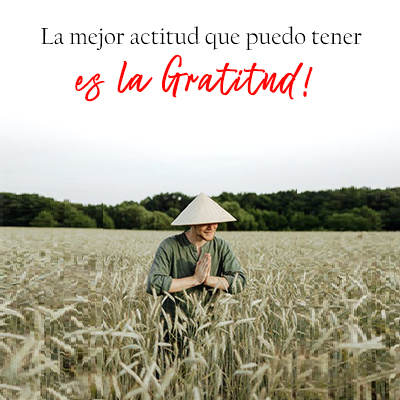 Frases sabias - Frases de vida 5 تصوير الشاشة