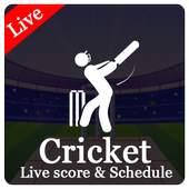 CricScore - Live cricket score, Schedule,World cup 1.0