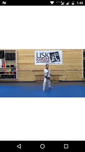 USK Karate screenshot 4