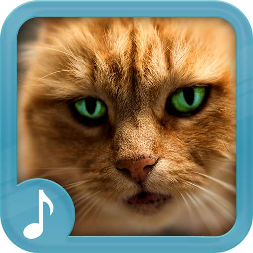 Meowing Cat Sounds Ringtones 2019 66.0