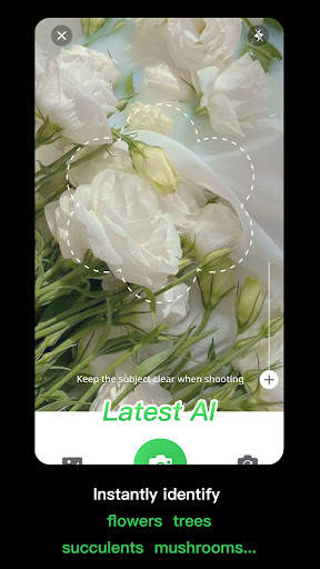 植物识别 - AI辨认植物、花卉、树木和更多 screenshot 2