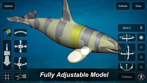 Orca Mannequin screenshot 1