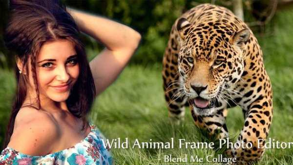 Wild Animal Frame Photo Editor - Blend Me Collage screenshot 5
