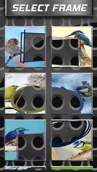 Beautiful Birds Frames screenshot 2