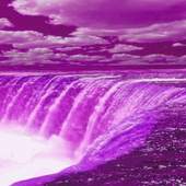 Purple Fall Live Wallpaper 2