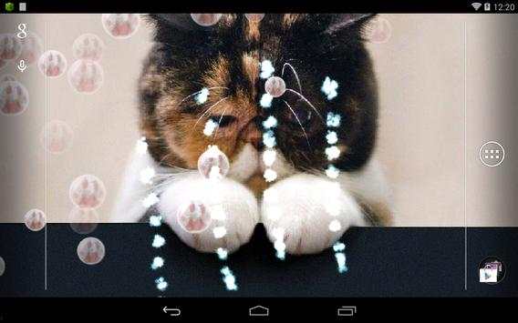 Kitty Cat Live Wallpaper 3 تصوير الشاشة