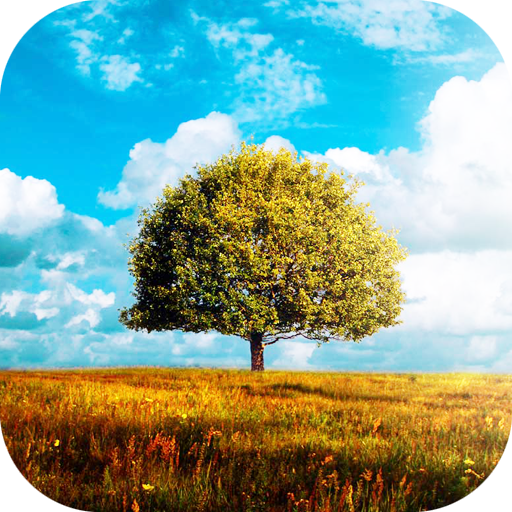 Awesome-Land 2 live wallpaper : Plant a Tree !! icon
