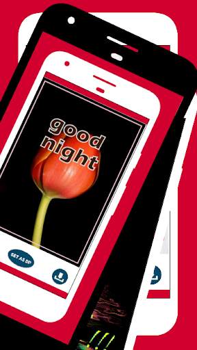 Good Night Images, Messages and Gif screenshot 6