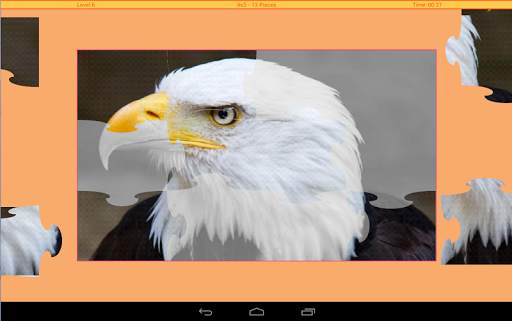 Birds Puzzle स्क्रीनशॉट 11