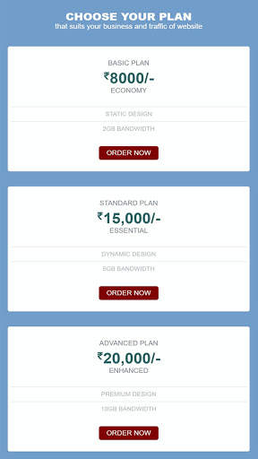 Website screenshot 2