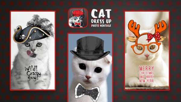 Cat Dress Up Photo Montage screenshot 1