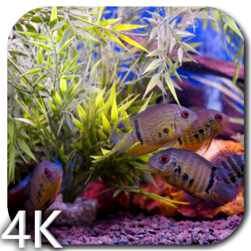 Aquarium Video Wallpaper icon