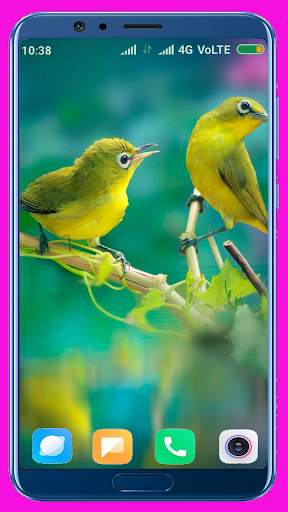Bird Wallpaper Best 4K स्क्रीनशॉट 12