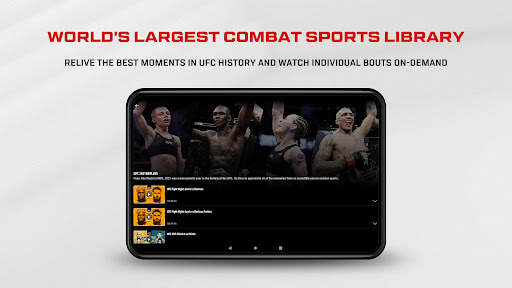 UFC screenshot 11