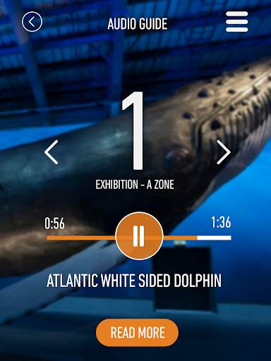 Whales of Iceland Audio Guide! screenshot 6
