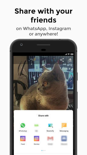 Videeze — Free status videos for WhatsApp & Insta screenshot 3