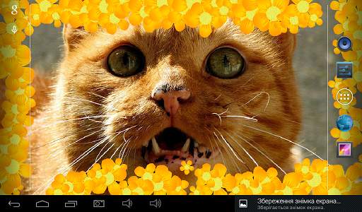 Flowers live photo frame screenshot 20