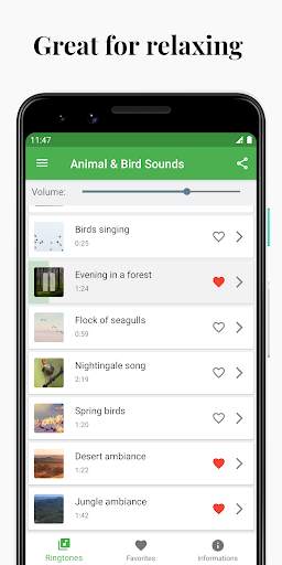 Suoni di uccelli e animali screenshot 2