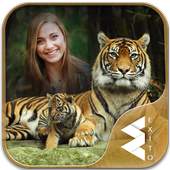 Tiger Photo Frames 1.15