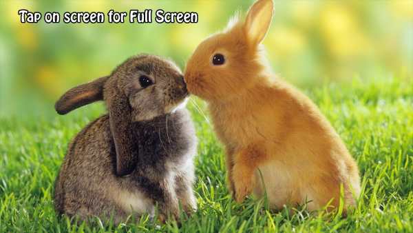 XS Video Player screenshot 2