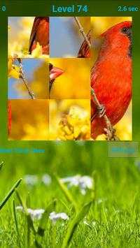 Birds Puzzle screenshot 1