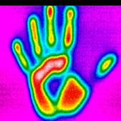 Thermal Vision 1.0.3