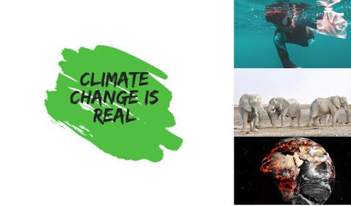 Climate change is real screenshot 1