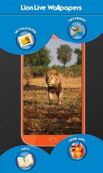 Lion Live Wallpapers screenshot 7