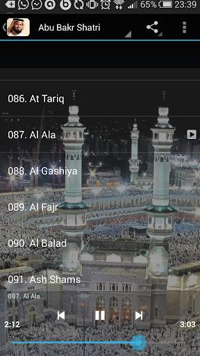 Abu Bakr Shatri MP3 Quran screenshot 6