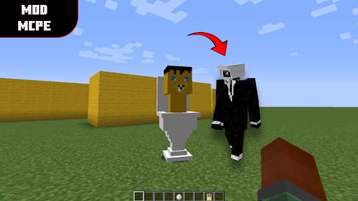 Mod Cameraman for Minecraft screenshot 3