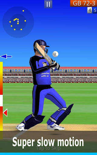 Smashing Cricket: cricket game screenshot 17