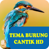 Tema Burung HD icon