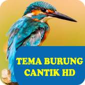 Tema Burung HD 1.0