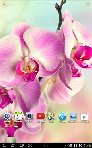 Orchids Wallpaper screenshot 11