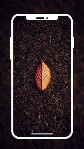 HD Wallpaper & 4k Wallpaper screenshot 3