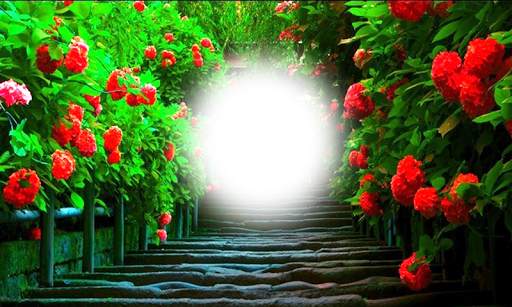 Nature Photo Editor screenshot 8