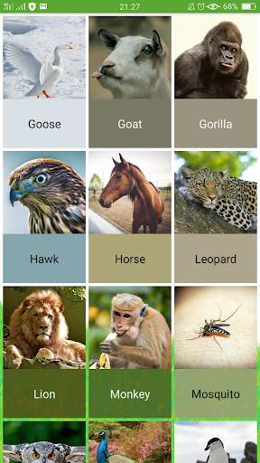 Animal Sounds screenshot 5