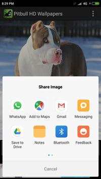 Pitbull HD Wallpapers 2019 screenshot 6