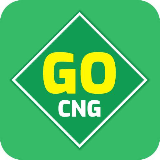 GO CNG 1.3