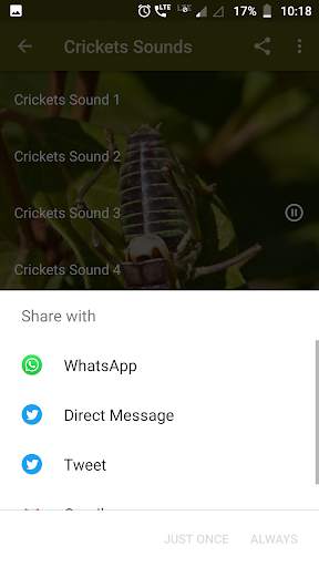 Crickets Sounds screenshot 4