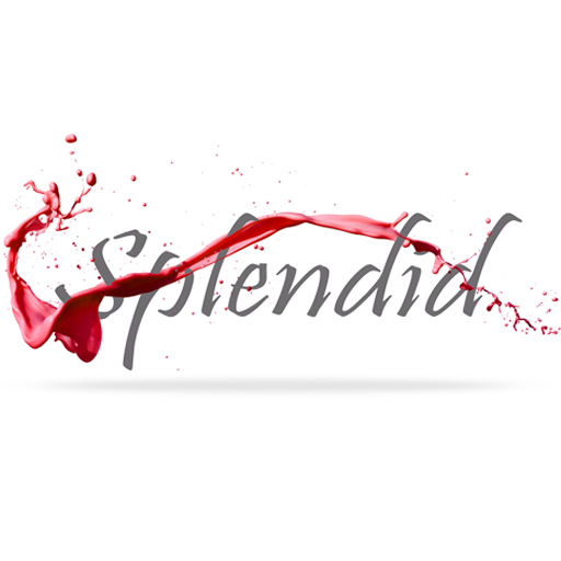 Splendid Studios icon