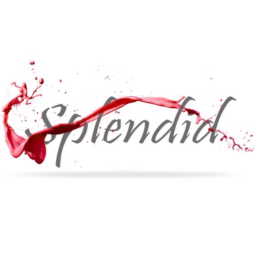 Splendid Studios 1.0