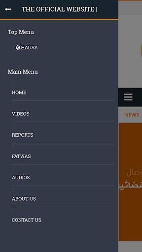 wisal hausa tv screenshot 3