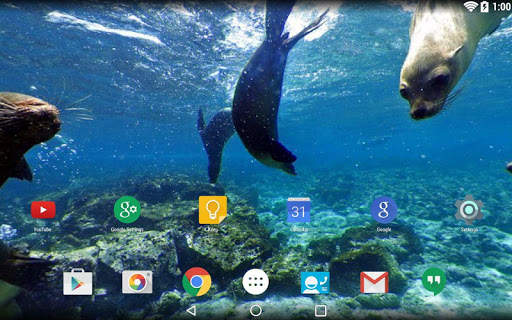 Panorama Wallpaper: Diving screenshot 2