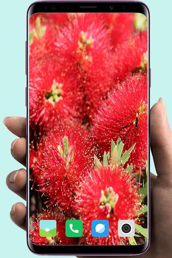 HD Red Wallpaper स्क्रीनशॉट 7