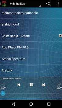 Radio Aswat screenshot 4