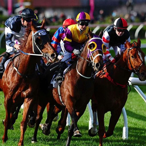 Horse Racing Wallpapers icon